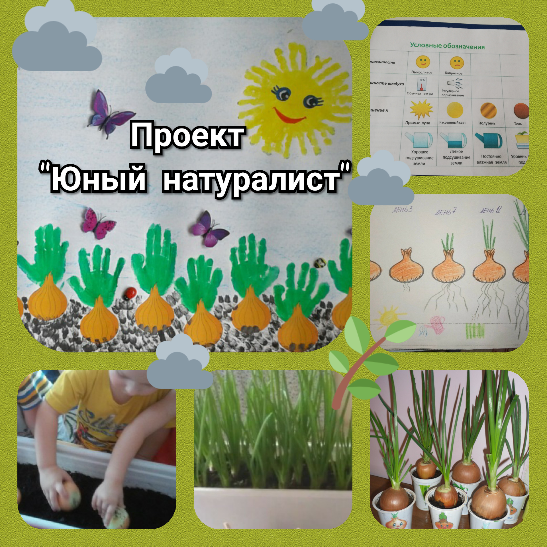Достижения детей